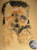 /album/galerie-photos/photo-305-jpg/